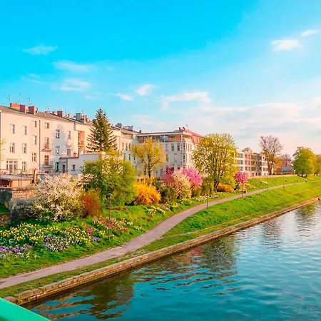Verona Elevenfive