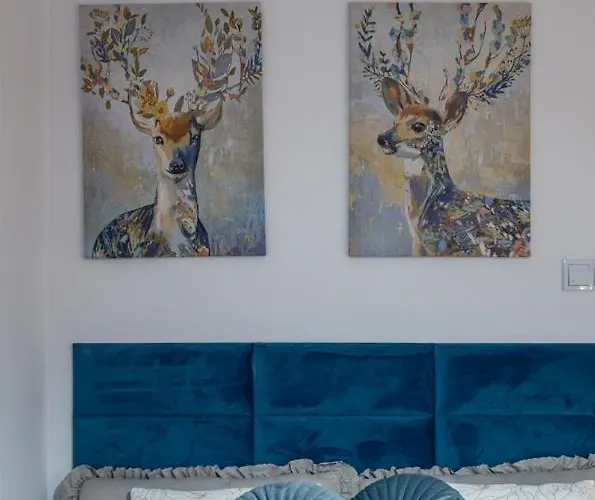 Apartament Verona Elevenfive *